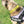 Load image into Gallery viewer, My Anxious Dog Yellow Space Awareness Dog Collar &quot;KEEP AWAY&quot;
