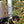 Load image into Gallery viewer, My Anxious Dog Yellow Space Awareness Poo Bin Stickers