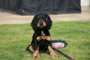 “She just has a behaviour problem” – Bella’s story