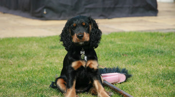 “She just has a behaviour problem” – Bella’s story