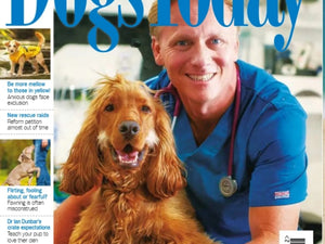 Dogs in Yellow: What it really means (& why the Kennel Club got it wrong)