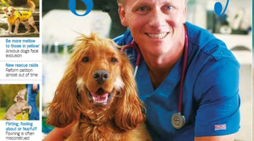 Dogs in Yellow: What it really means (& why the Kennel Club got it wrong)