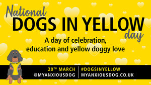 My Anxious Dog has it's 1st national #dogsinyellow day
