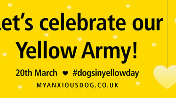 The Yellow Army raises awareness with an official #dogsinyellow day