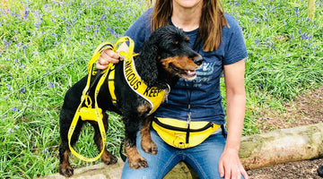 dog in yellow space awareness harness and yellow keep away lead
