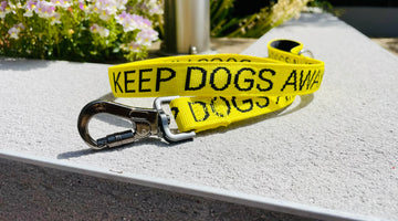 Our new carabiner yellow dog lead with KEEP DOGS AWAY is launched