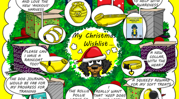 Christmas gifts for anxious dogs that grow confidence