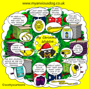 Give the gift of confidence this Christmas