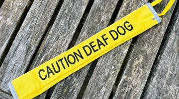 Empowering Deaf Dogs - Unveiling Canine Communication with Yellow