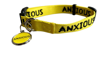 Why does your anxious dog need a collar?