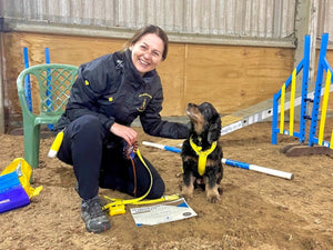 A response to the Kennel Club and the misunderstanding of anxious dogs in yellow