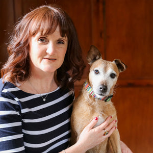 Chatting to Rachel Spencer from the Paw Post about our story into the world of yellow
