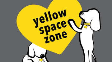 Introducing Yellow Space Zones