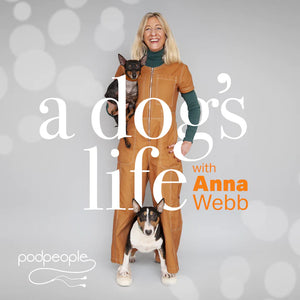 Chatting to Anna Webb on our journey with #dogsinyellow