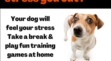 Saturday 2nd April is #dontwalkyourdogday