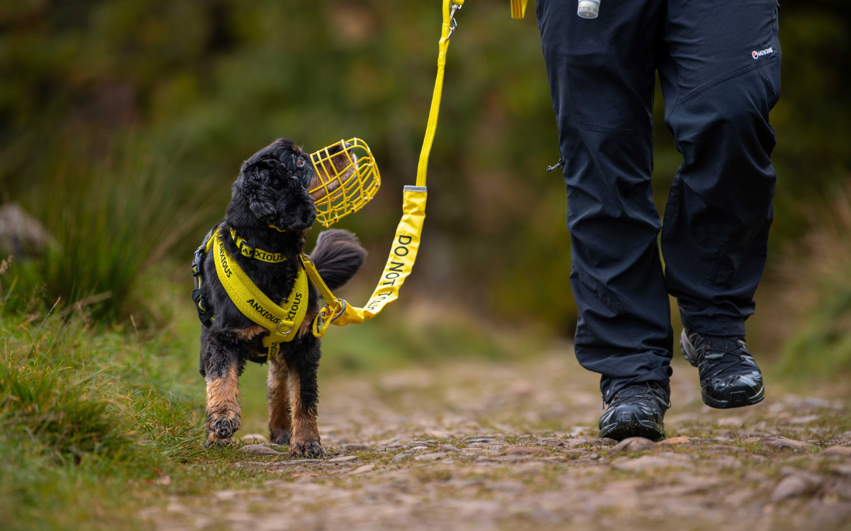 is it cruel to muzzle a dog