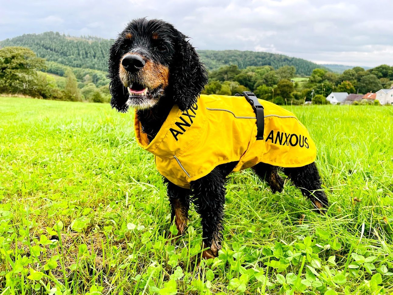 Yellow Dog Rain Coats Lightweight My Anxious Dog