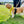 Load image into Gallery viewer, My Anxious Dog Padded yellow non-pull Y harness Size 2
