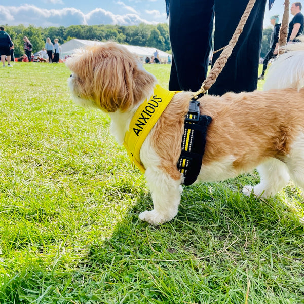 My Anxious Dog Padded yellow non-pull Y harness Size 2