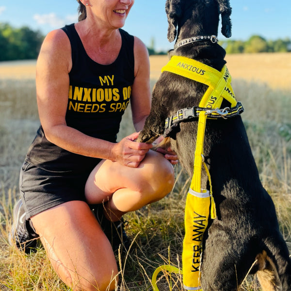 My Anxious Dog Yellow Space Awareness Cool Vest