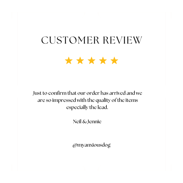 My Anxious Dog Yellow Space Awareness Lead "KEEP AWAY" - Medium/Large