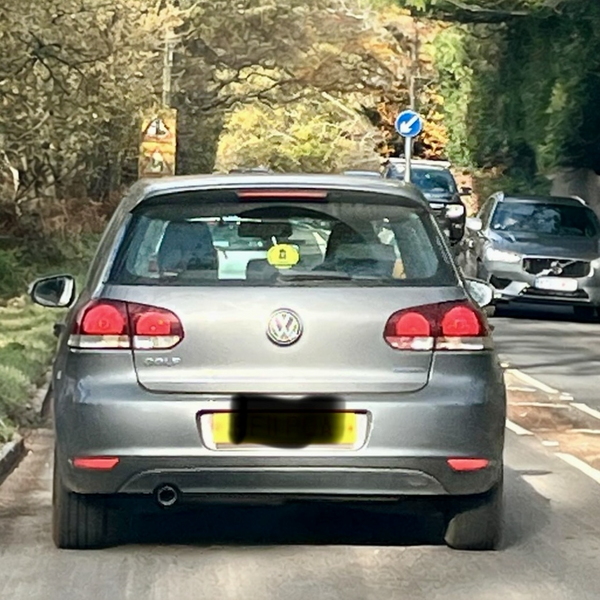 My Anxious Dog Bin & Car Sticker Pack
