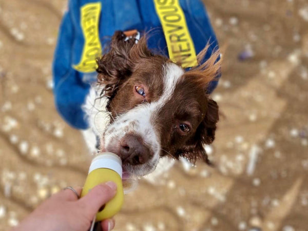 My Anxious Dog Mini Squeezy Reward