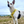 Load image into Gallery viewer, My Anxious Dog Yellow Padded Y Shaped Harness New Size 3
