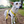 Load image into Gallery viewer, My Anxious Dog Yellow Padded Y Shaped Harness New Size 3
