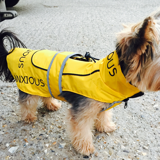 Yellow Dog Rain Coats Lightweight My Anxious Dog