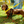 Load image into Gallery viewer, Y-Shaped Harness for Anxious Dogs – Yellow Padded | Size 3 Small
