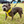 Load image into Gallery viewer, My Anxious Dog Yellow Padded Y Shaped Harness New Size 3
