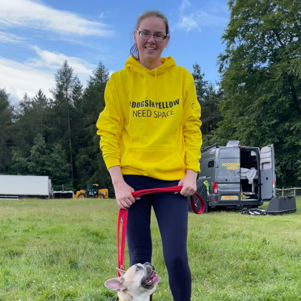 #DOGSINYELLOW Awareness Hoodie