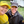 Load image into Gallery viewer, Yellow baseball cap
