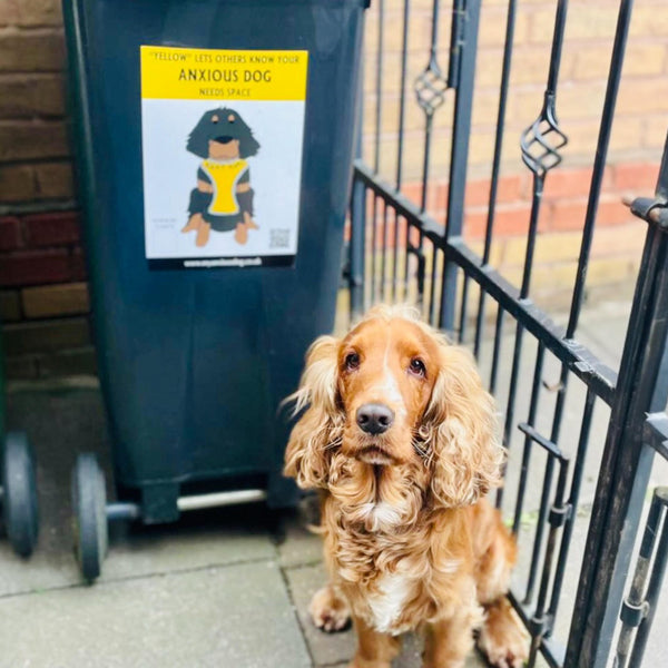 My Anxious Dog Bin & Car Sticker Pack