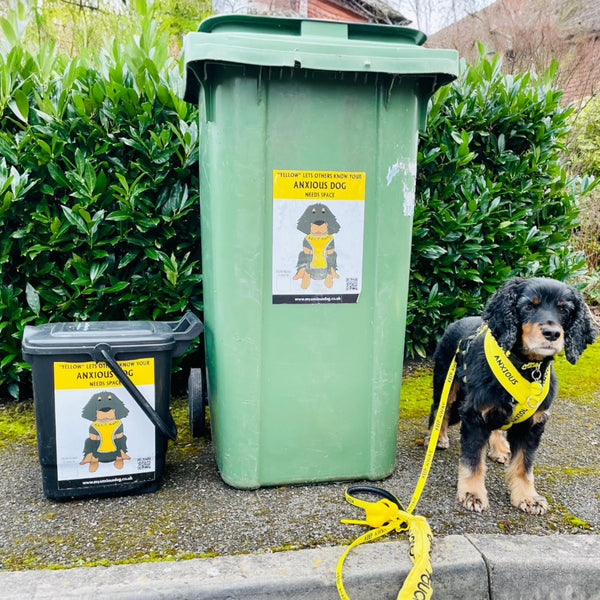 My Anxious Dog A4 Wheelie Bin Yellow Space Awareness Sticker