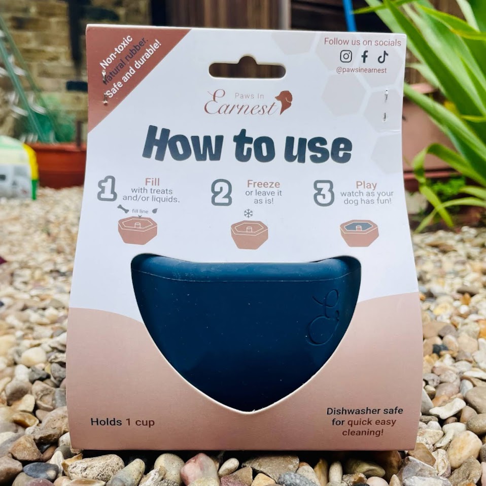 Rylo Interactive Treat Toy for enrichment My Anxious Dog