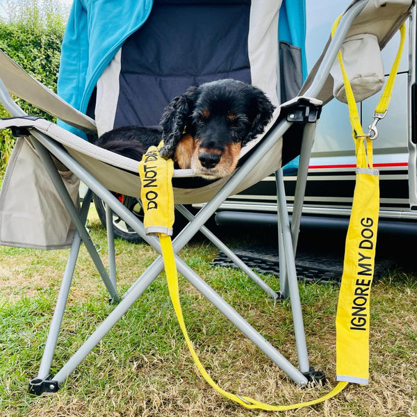 Yellow Space Awareness Lead Slip Covers