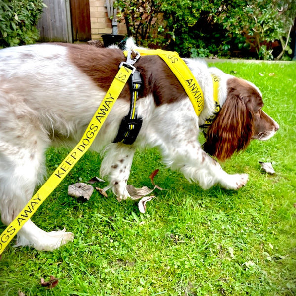 My Anxious Dog Yellow Padded Y Shaped Harness New Size 3