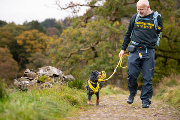 #DOGSINYELLOW Awareness Hoodie