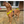 Load image into Gallery viewer, Y-Shaped Padded Harness for Anxious Dogs – Yellow Size 4
