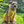 Load image into Gallery viewer, Nervous dog wearing a yellow anxious  harness sitting on a log in a grassy area
