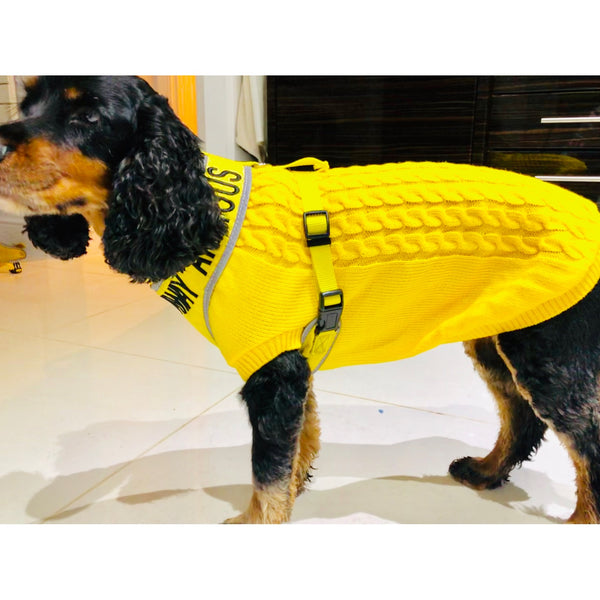 My Anxious Dog Yellow Space Awareness Jumper Medium