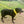 Load image into Gallery viewer, My Anxious Dog Padded Non-Pull Y Harness Size 5

