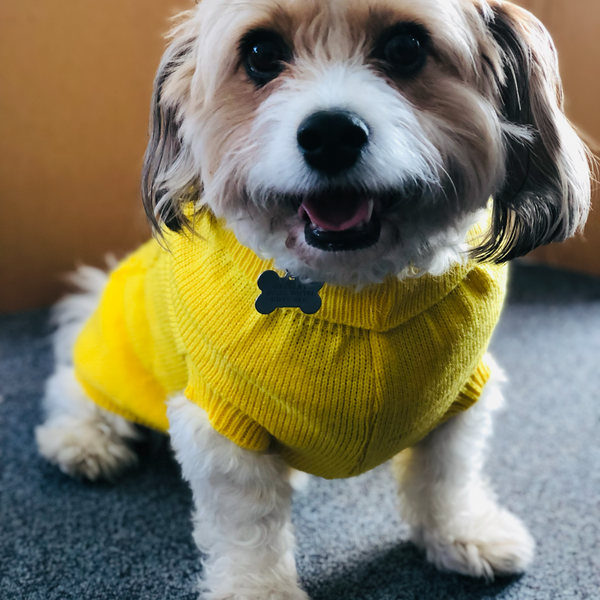 My Anxious Dog Yellow Space Awareness Jumper Medium