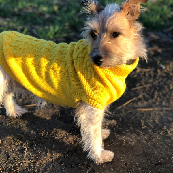 My Anxious Dog Yellow Space Awareness Jumper Small