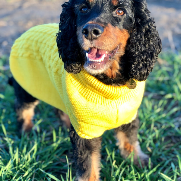 My Anxious Dog Yellow Space Awareness Jumper Medium