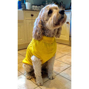 My Anxious Dog Yellow Space Awareness Jumper Large