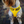 Load image into Gallery viewer, Padded yellow KEEP AWAY ANXIOUS harness
