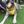 Load image into Gallery viewer, Padded yellow ANXIOUS harness
